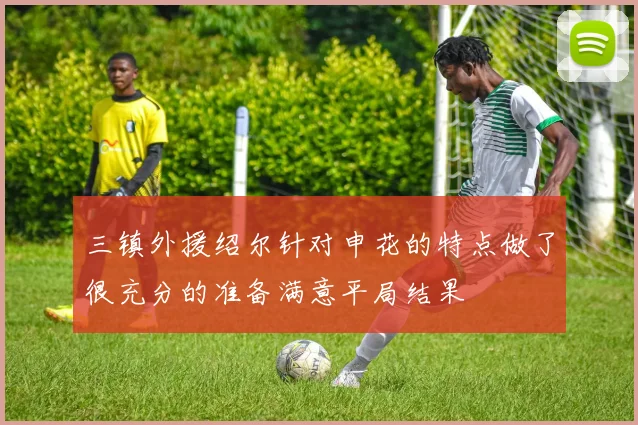 三镇外援绍尔针对申花的特点做了很充分的准备满意平局结果